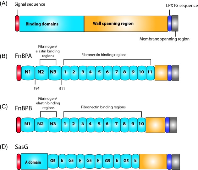 Figure 6.