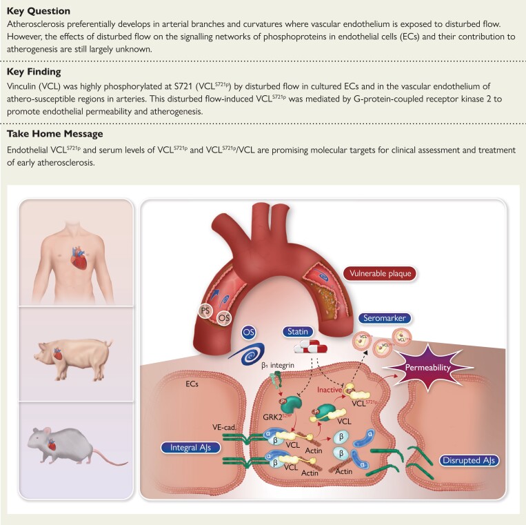 Structured Graphical Abstract