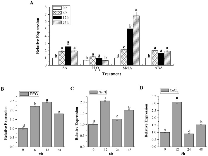 Figure 7