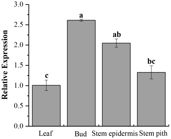 Figure 5