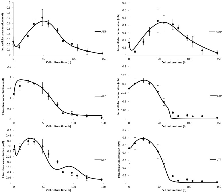 Figure 5.