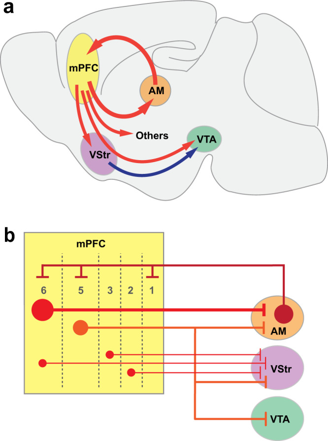 Fig. 9