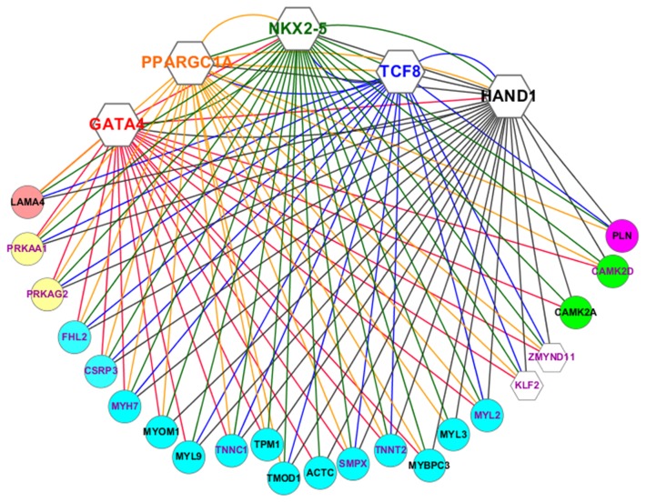 Figure 4