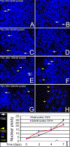 Fig.5.