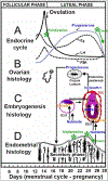 Fig.4.