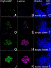 Fig.7.