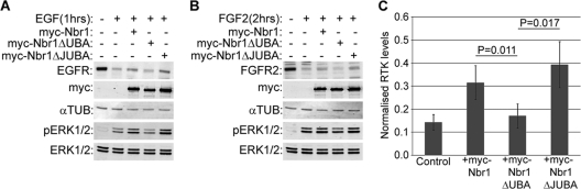 FIG. 8.