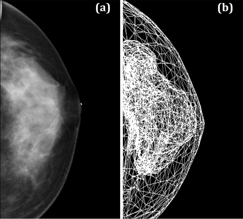 Fig. 11