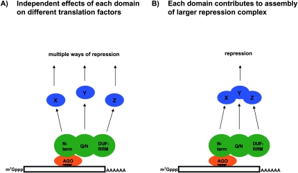 FIGURE 7.