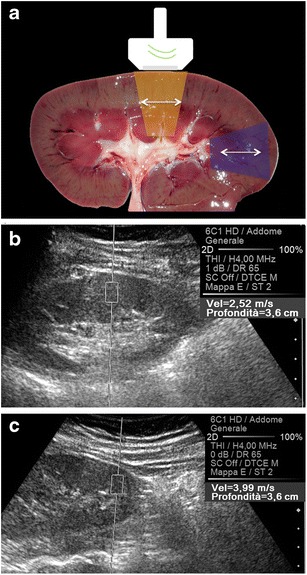 Fig. 9