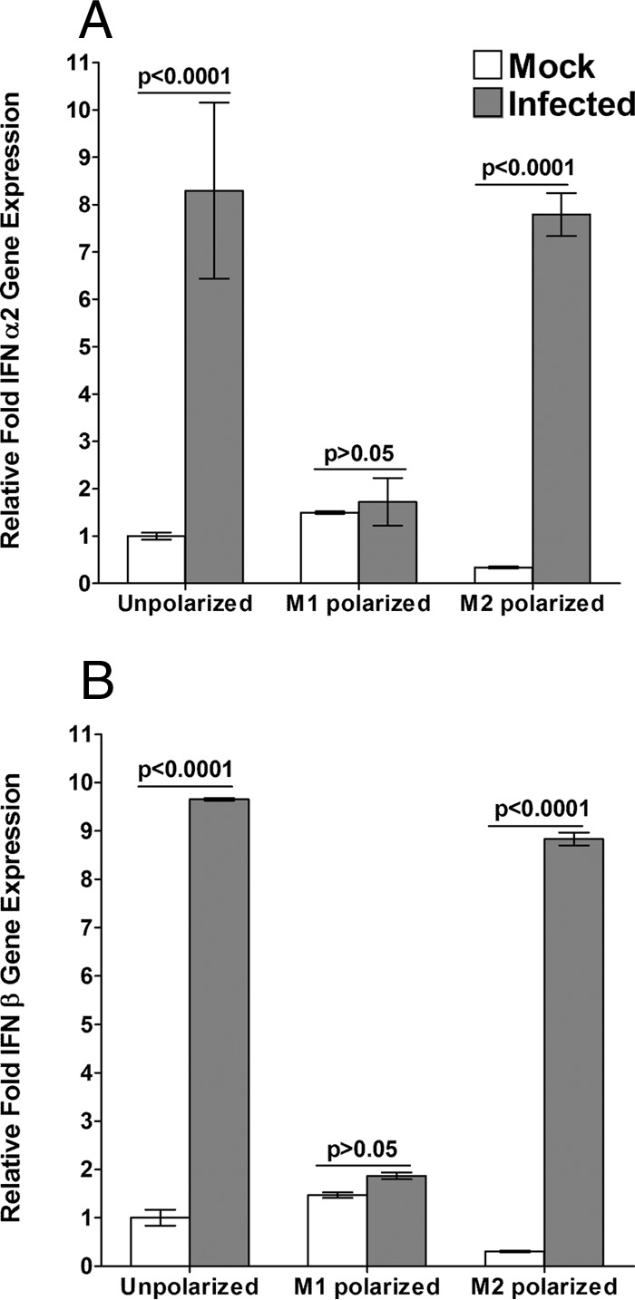 FIG 6