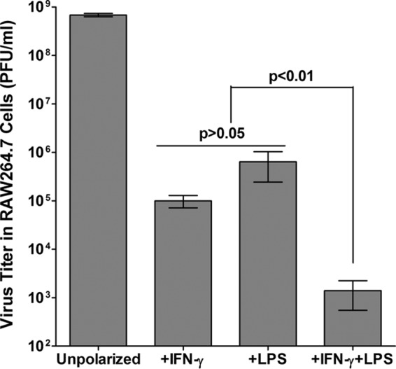 FIG 3