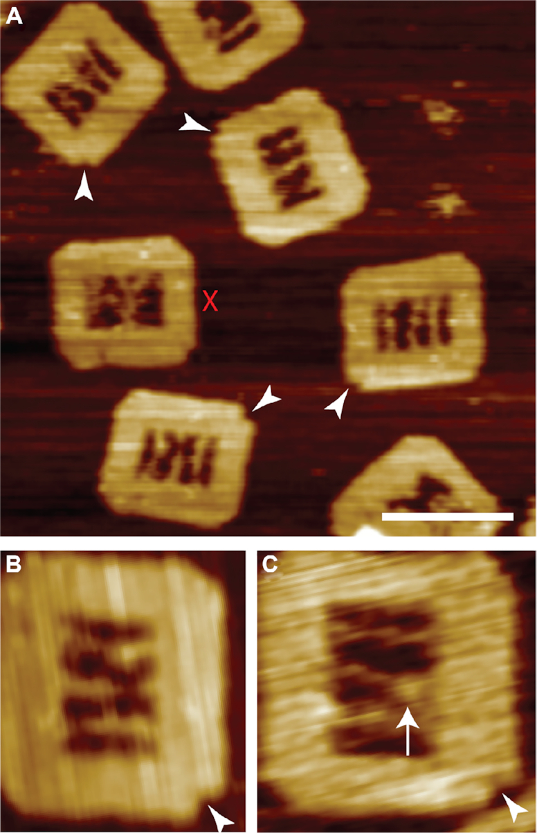 Figure 2.