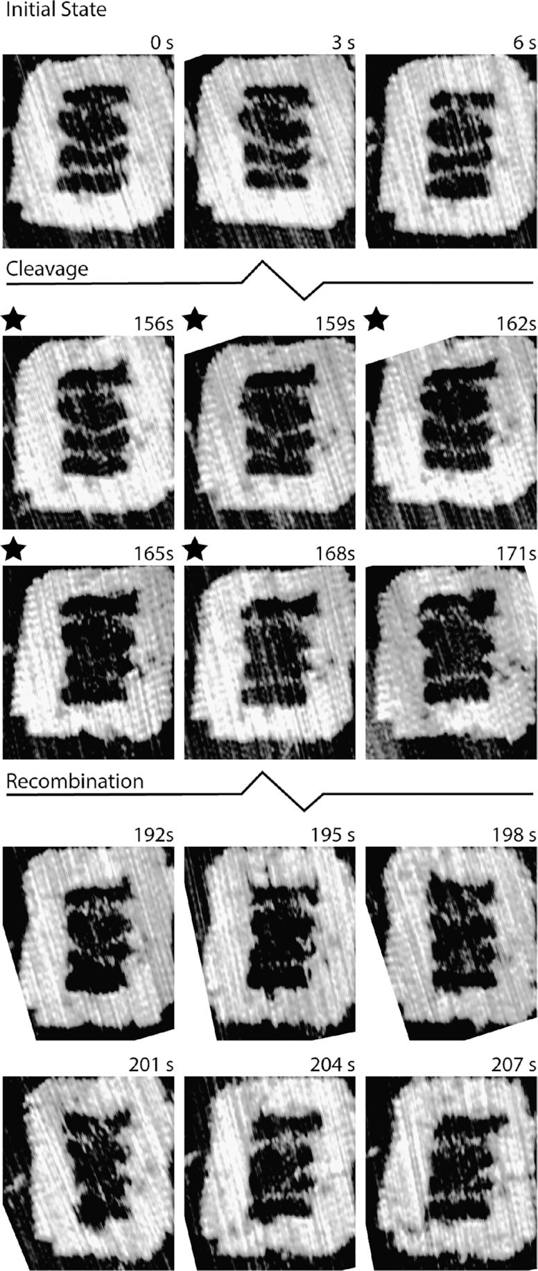 Figure 5.