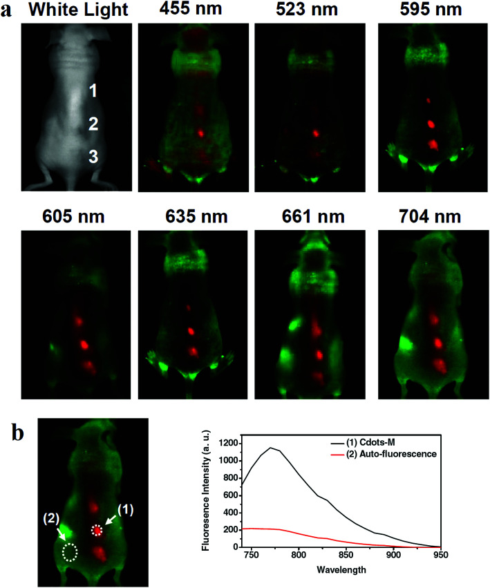 Fig. 7