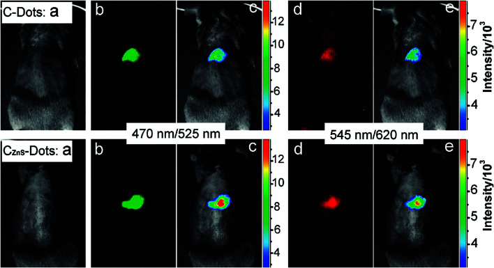 Fig. 9