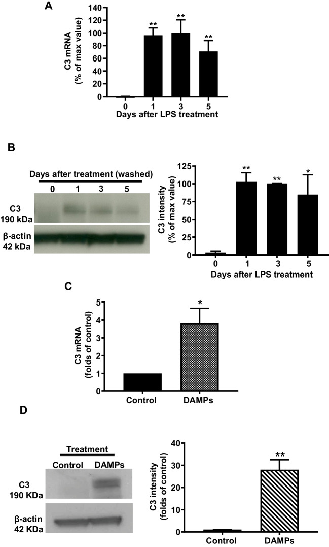 Fig. 3 (Figure 3 is missing, the file is in the attachment)