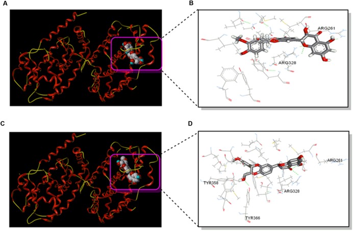 FIGURE 2