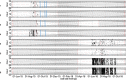Fig 11