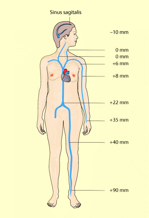 graphic file with name 6376_9_De_47_Fig13_HTML.jpg