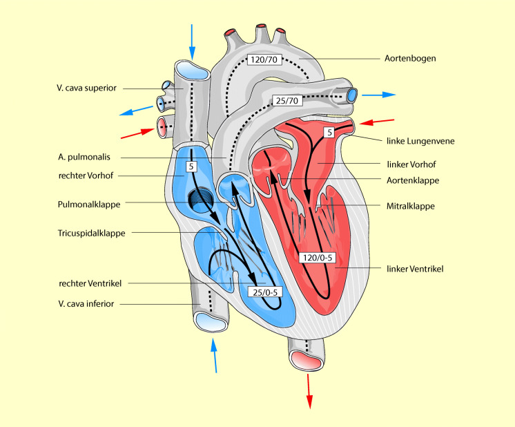 graphic file with name 6376_9_De_47_Fig4_HTML.jpg