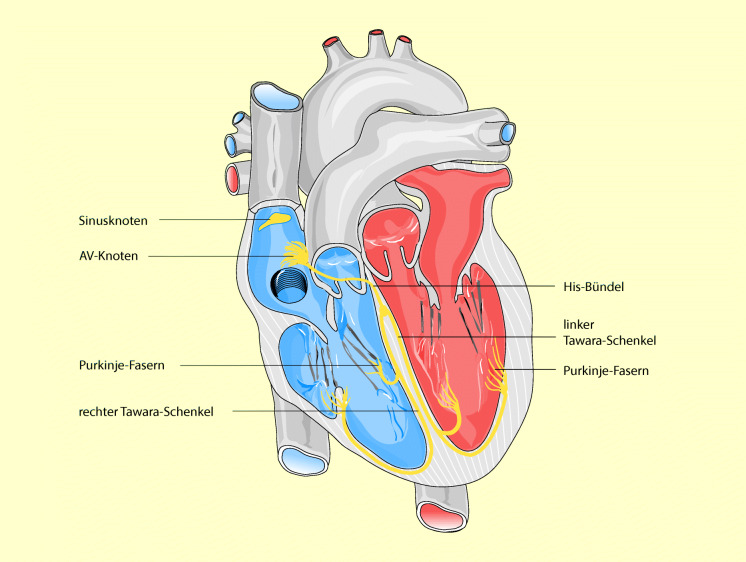 graphic file with name 6376_9_De_47_Fig5_HTML.jpg