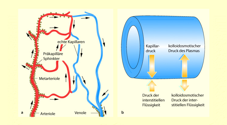 graphic file with name 6376_9_De_47_Fig12_HTML.jpg