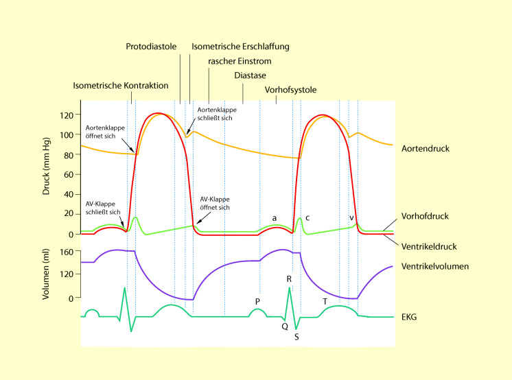 graphic file with name 6376_9_De_47_Fig3_HTML.jpg