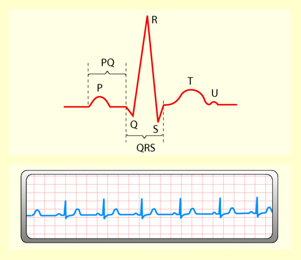 graphic file with name 6376_9_De_47_Fig9_HTML.jpg