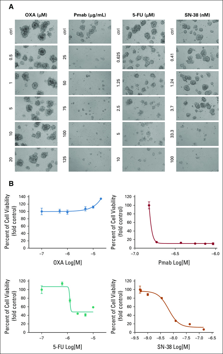 FIG 3.