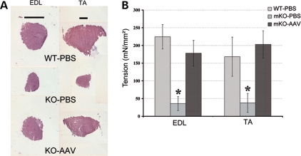 Figure 4.