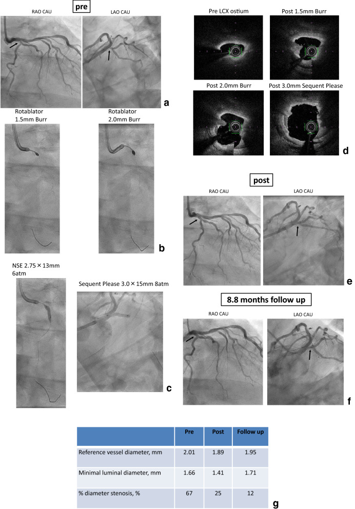 Fig. 4