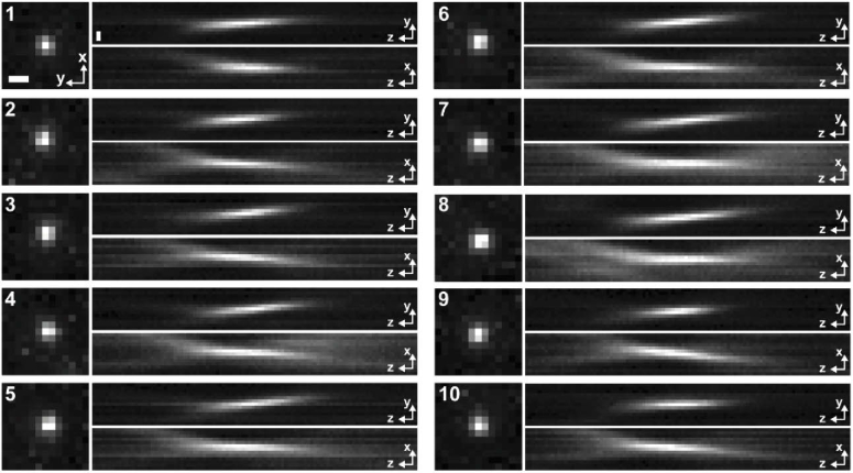 Fig. 6.