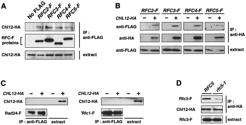 FIG. 6