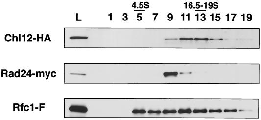 FIG. 7