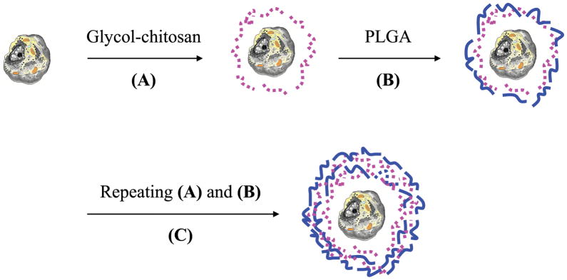 FIG. 1