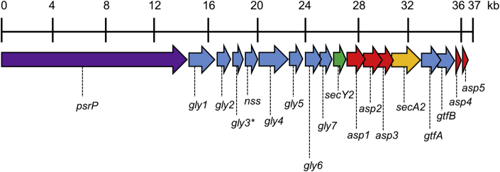 Fig. 1