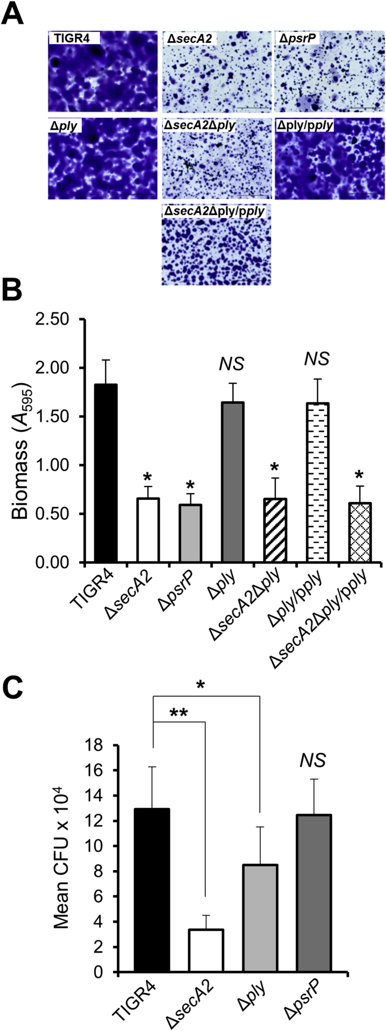 Fig. 3