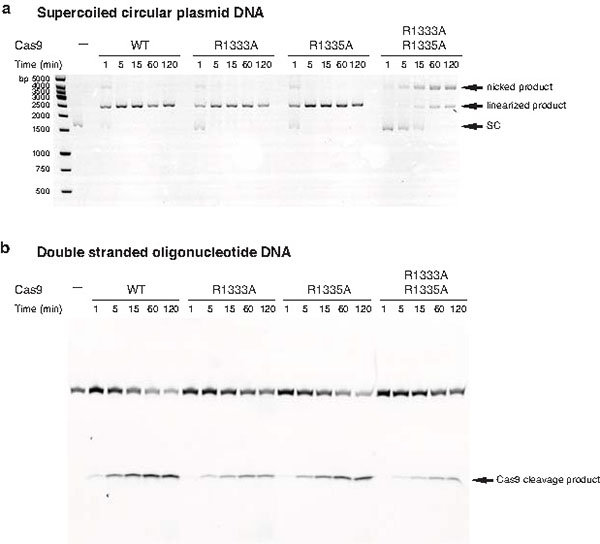 Extended Data Figure 3