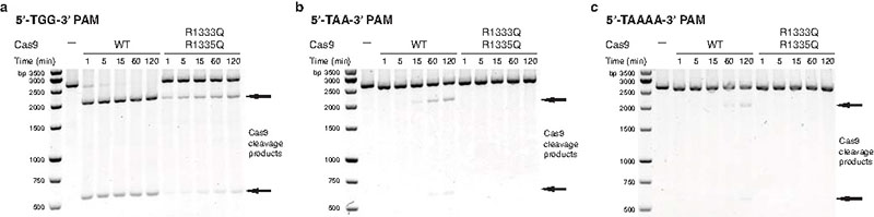 Extended Data Figure 5