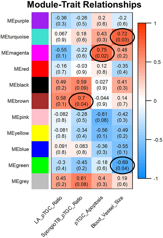 Fig. 8.