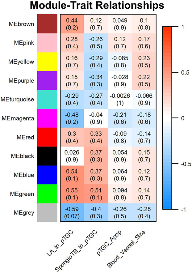 Fig. 9.