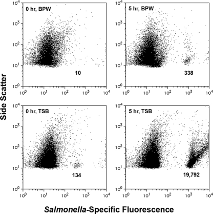 FIG. 3.