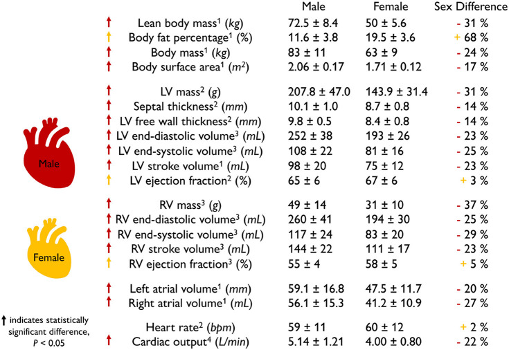 graphic file with name fphys-13-831179-i0004.jpg