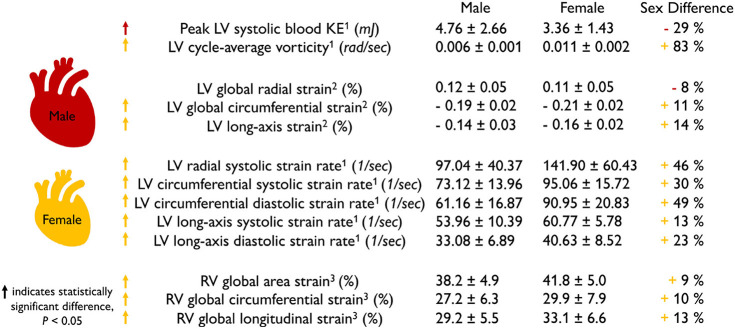 graphic file with name fphys-13-831179-i0002.jpg