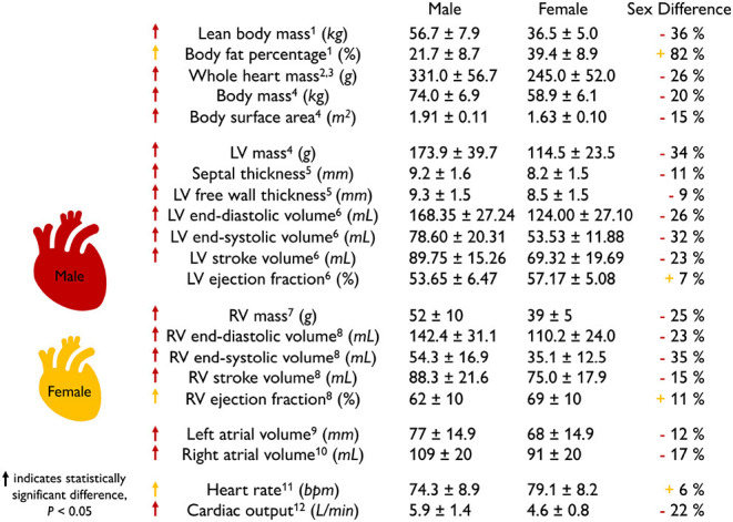 graphic file with name fphys-13-831179-i0001.jpg