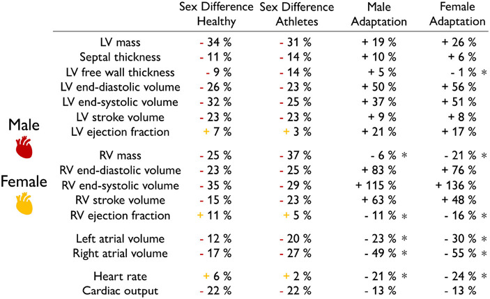 graphic file with name fphys-13-831179-i0007.jpg