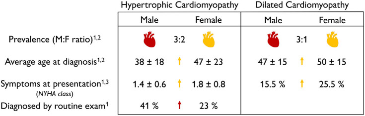 graphic file with name fphys-13-831179-i0008.jpg