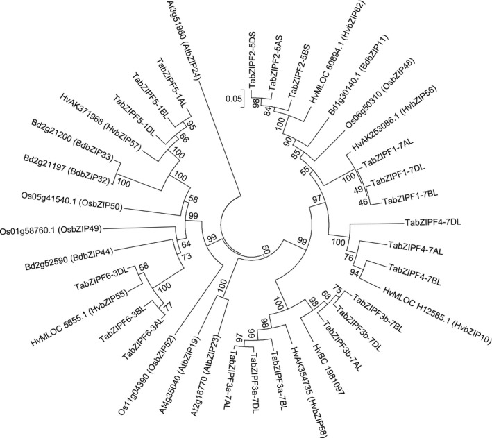 Figure 4