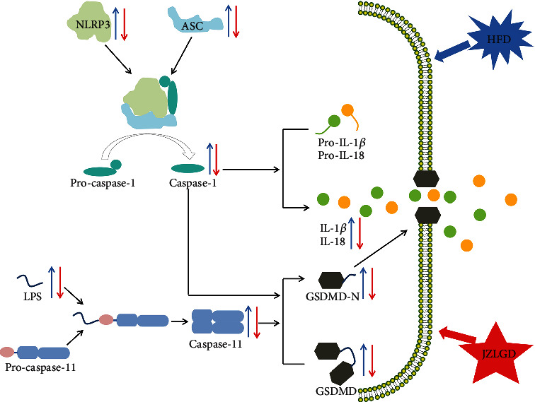 Figure 6